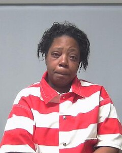 mugshot of RENOTTA  SELTZER