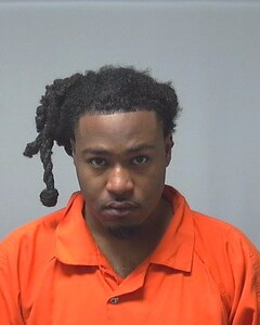 mugshot of DAVID  TERRY