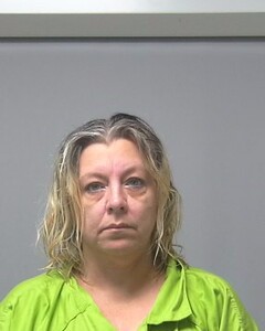 mugshot of DANA  BOYINGTON