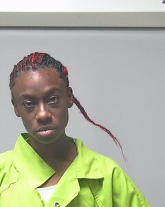 mugshot of EVELYN  RILEY