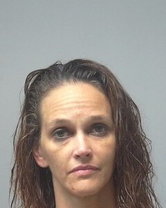 mugshot of KASEY  CASHMAN