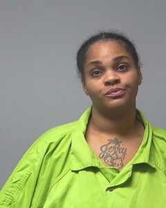mugshot of REBECCA  NETTLES