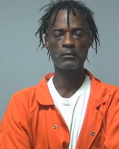 mugshot of MICHAEL  MCMILLIAN