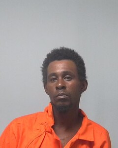 mugshot of BRENT  SIMPSON