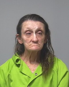 mugshot of PATRICIA  MEADOWS