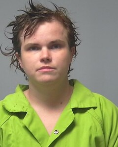 mugshot of TONI  GIBSON