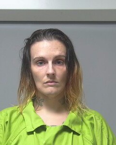 mugshot of STACEY  WEAVER