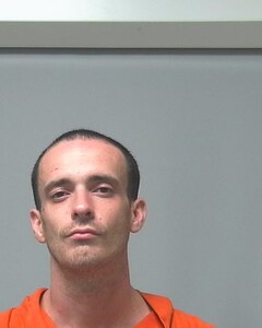mugshot of LUCAS  DUNN