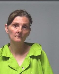 mugshot of ANN  DUBOSE