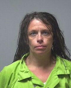 mugshot of BRANDY  HASSELL