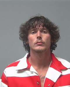 mugshot of DYLLAN  THOMPSON
