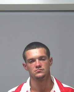 mugshot of TYLER  MILSTID