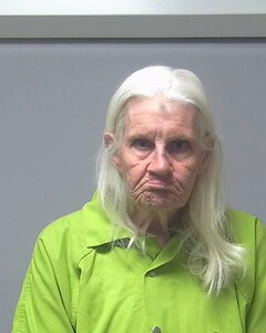 mugshot of ELIZABETH  MCSWEENY