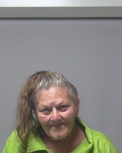 mugshot of AMANDA  ARD