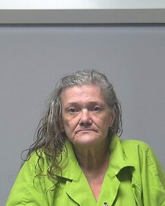 mugshot of ANGELA  SALTER