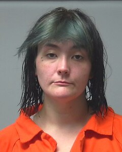 mugshot of KAYLIN  HENDERSON