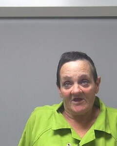 mugshot of REBECCA  FIELDS