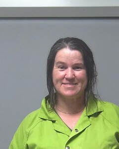 mugshot of ELIZABETH  MCKINLEY