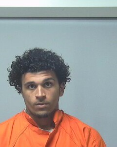 mugshot of TROY  IVEY