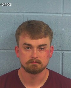 mugshot of JOHN  DAVIDSON