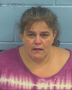 mugshot of AMY  DOWNING