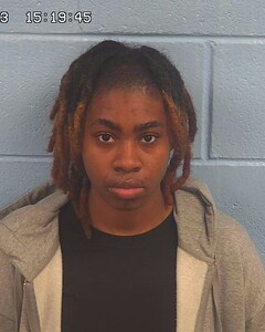 mugshot of BRITTANIE  WILLIAMS