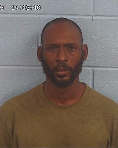 mugshot of DEMICHAEL  ELERY