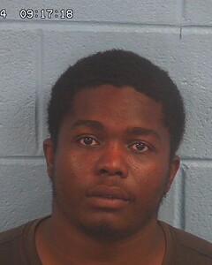 mugshot of DALVIN  LEWIS