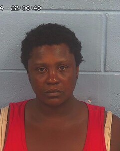 mugshot of ANNETTE  SMITH