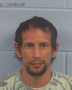 mugshot of JAMES  WRIGHT