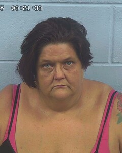 mugshot of KIMBERLY  NELSON