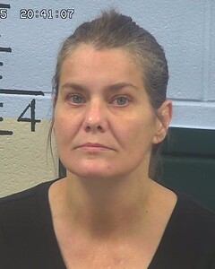 mugshot of DANA  COX