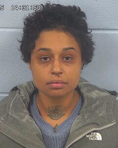 mugshot of KRISTINA  HODGE