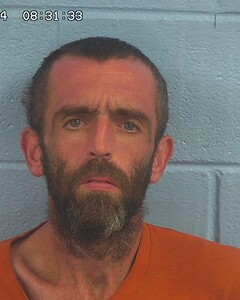 mugshot of ANTHONY  WAITS