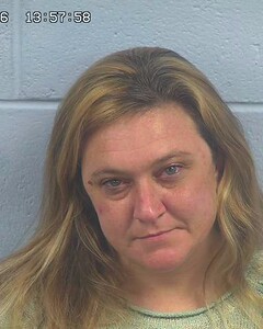 mugshot of BRANDI  WOOD
