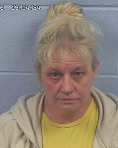 mugshot of DEBRA  DANIEL