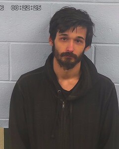 mugshot of HARLESS  BATTLES