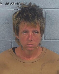 mugshot of JENNIFER  TREMBLE