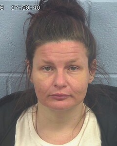 mugshot of AMANDA  AKINS