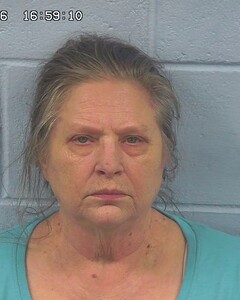 mugshot of SHERRY  TOWNSON