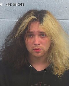 mugshot of DYLAN  MCCLENDON