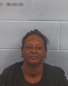 mugshot of KIESHA  BUTLER