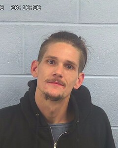 mugshot of GAVIN  NELSON