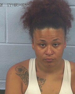 mugshot of MIKAYLA  LUGO