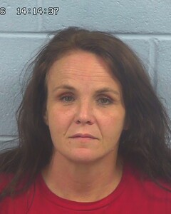 mugshot of CATHY  BRAGG
