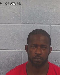 mugshot of TERRELL  DUDLEY