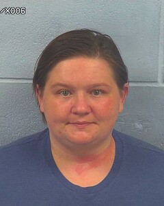 mugshot of TARA  WILEMON