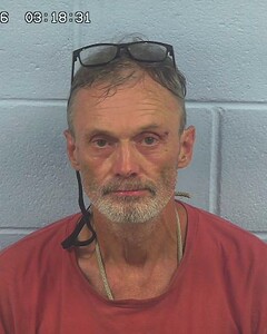 mugshot of RAY  BROWN