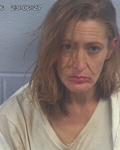 mugshot of LAUREN  MCCLAIN