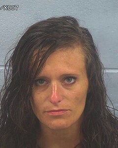 mugshot of HEATHER  EVANS